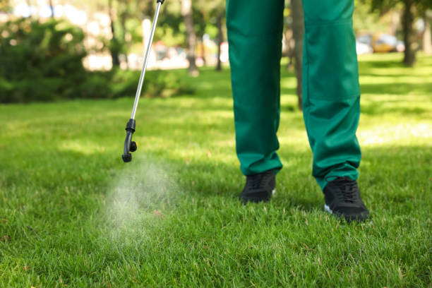 Best Affordable Pest Control Services  in Sanford, ME