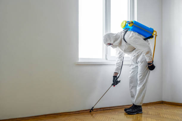 Pest Control for Restaurants in Sanford, ME