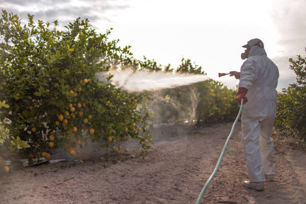 Insect Control in Sanford, ME