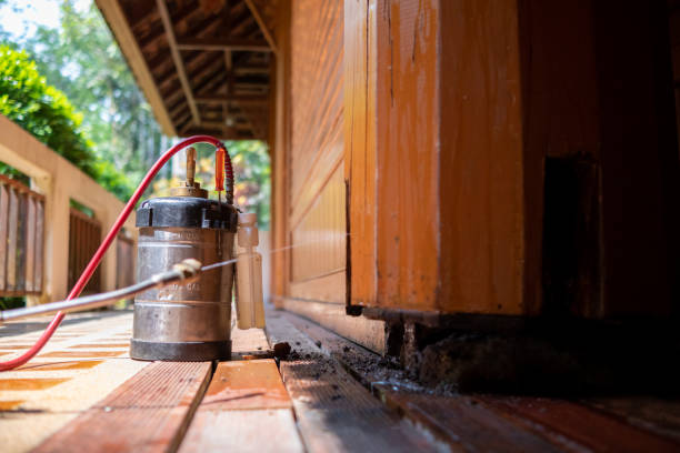 Best Best Pest Control Companies  in Sanford, ME